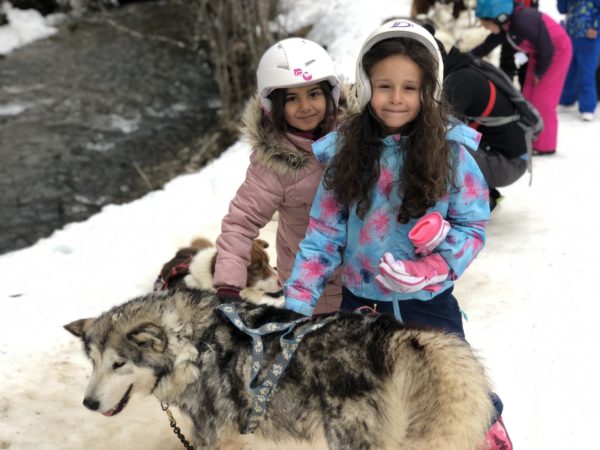 Colonie Enfant Chien de traineau