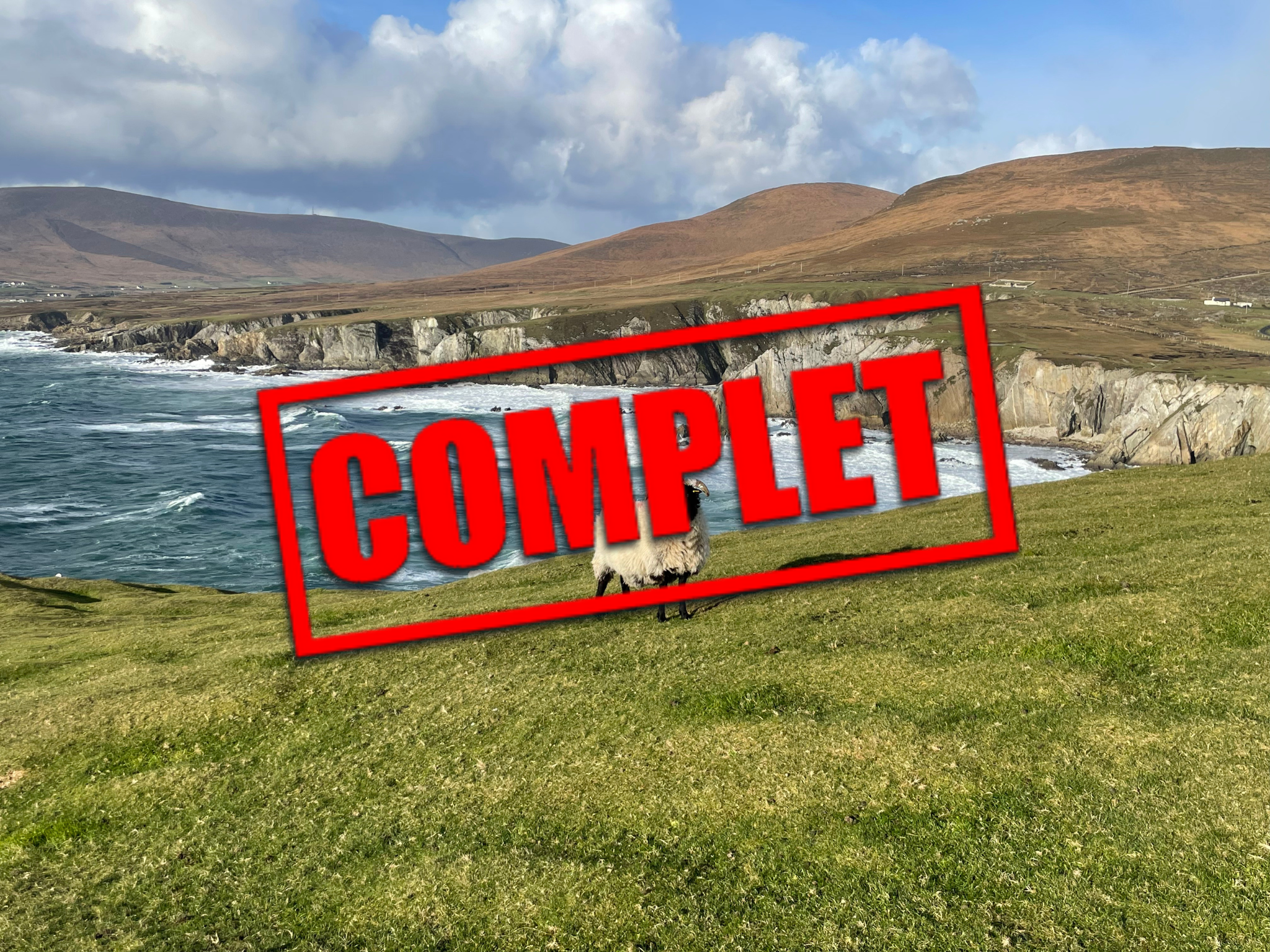 Design sans titre (1)