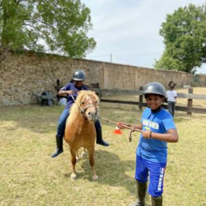 Poney club au château