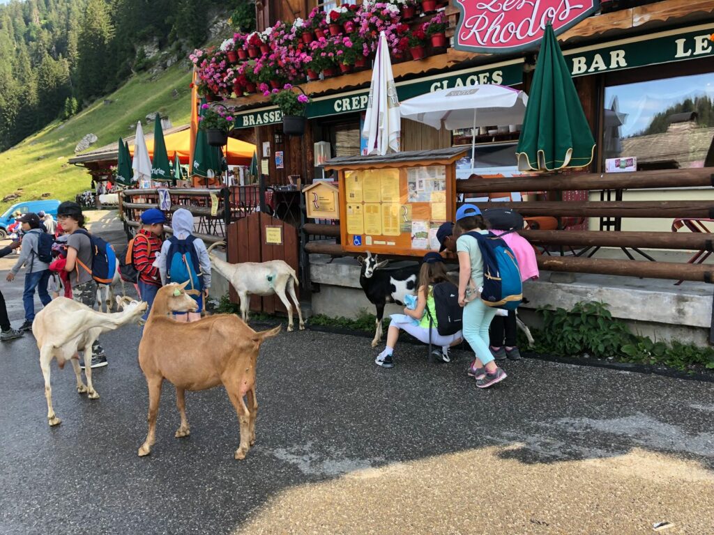 Enfants au Village des Chèvres